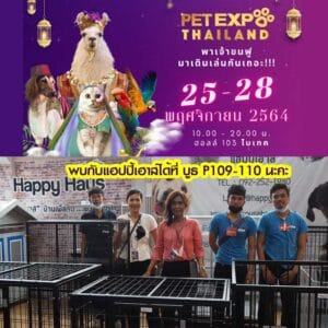 PET EXPO ไบเทค แฮปปี้เฮาส์
