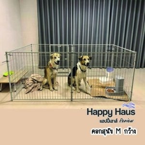 คอกลูกสุนัขไทย