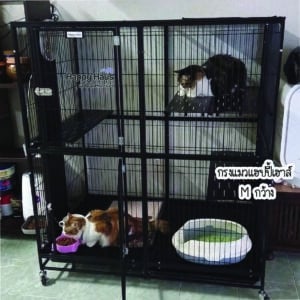 cat cage for big cat