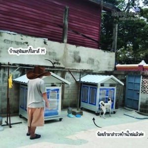 บ้านสุนัขหมาพันทาง บ้านสุนัขแฮปปี้เฮาส์ M