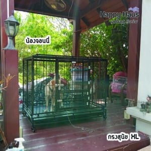 กรงสุนัขกลัวฟ้าผ่า พลุ ประทัด กรงXL