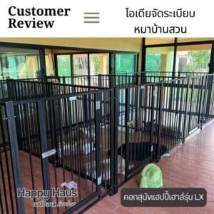 จัดห้องสุนัขใหญ่ในบ้าน