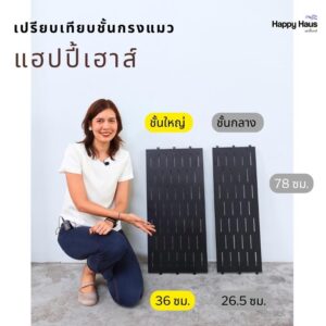 กรงแมวใหญ่ ชั้น แบบ