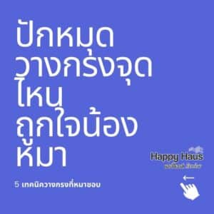 5 เทคนิด วางกรงน้องหมาแบบไหนถูกใจน้องหมา