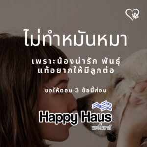 ทำหมันหมาดีไหม