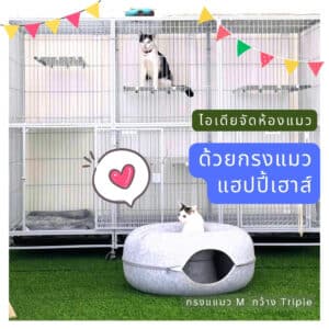 ไอเดียจัดห้องแมว กรงแมว M กว้าง Triple M wide Triple