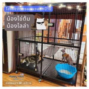 กรงแมวใหญ่ นอกบ้าน