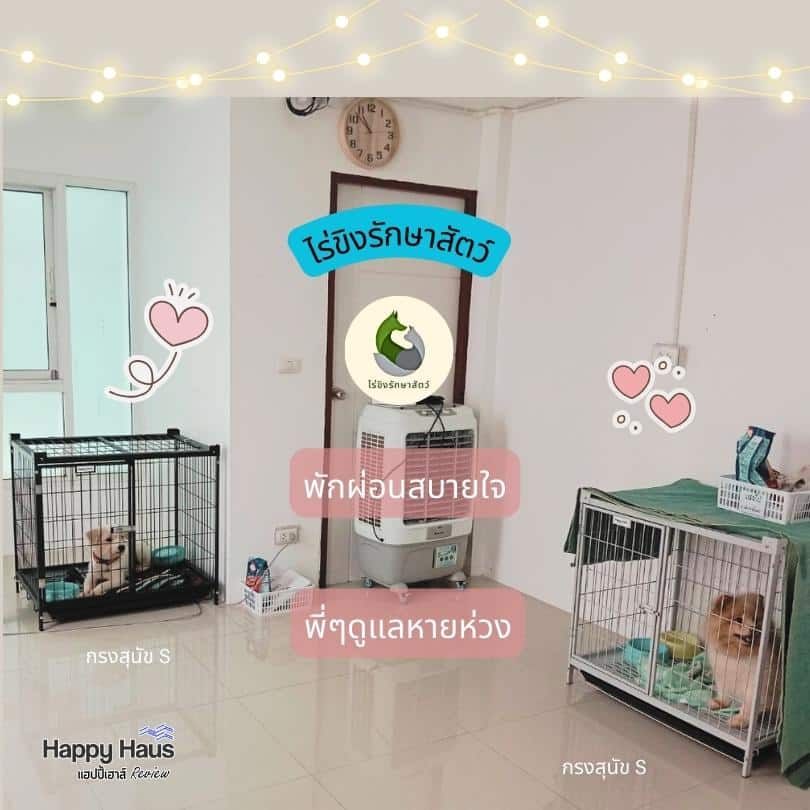 pet cage for pet hospital
