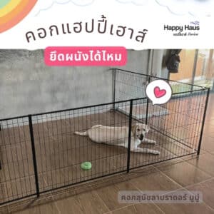 คอกกั้นสุนัข ลาบราดอร์ M กว้าง