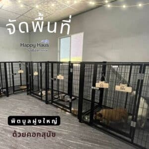 กรงสุนัข พิตบูล