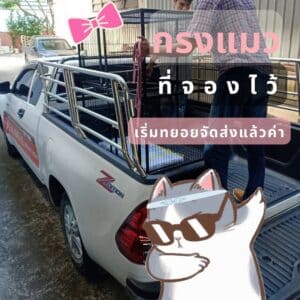 กรงแมว จัดส่ง