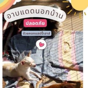คอกสุนัข ชิวาว่า