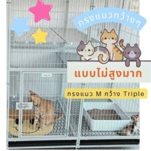กรงแมวใหญ่