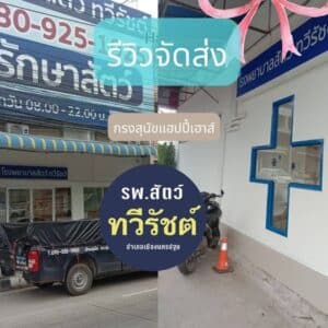 dog cage pet hospital