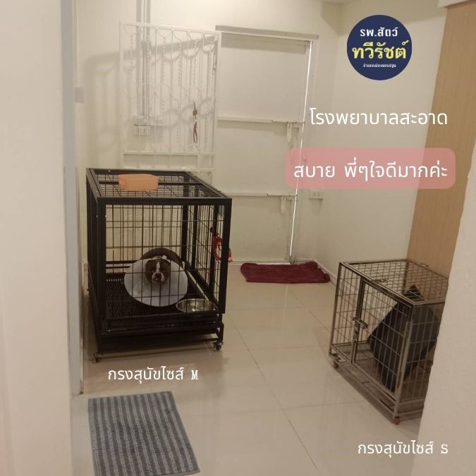 dog cage pet hospital