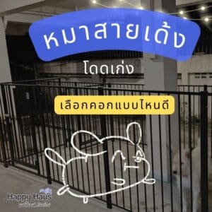 คอกสุนัขใหญ่