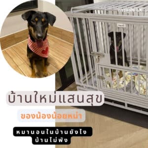 กรงสุนัขดุ ในบ้าน