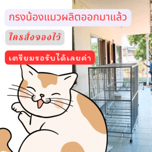 จัดส่งกรงแมวแฮปปี้เฮาส์