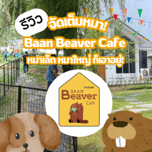 จัดโซนน้องหมาในสวน แฮปปี้เฮาส์ คอก L dog fence L
