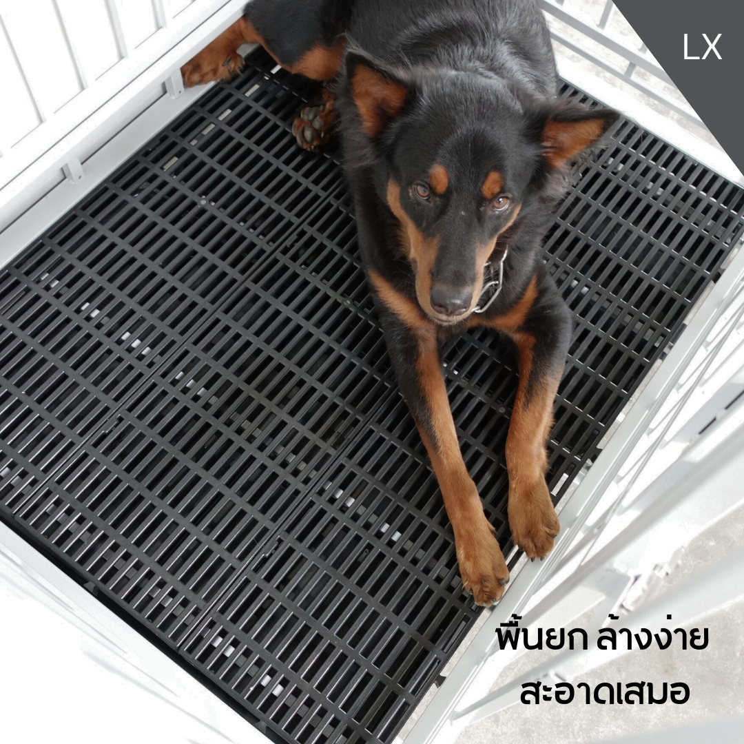 กรงสุนัขใหญ่ กรงสุนัขดุ LX