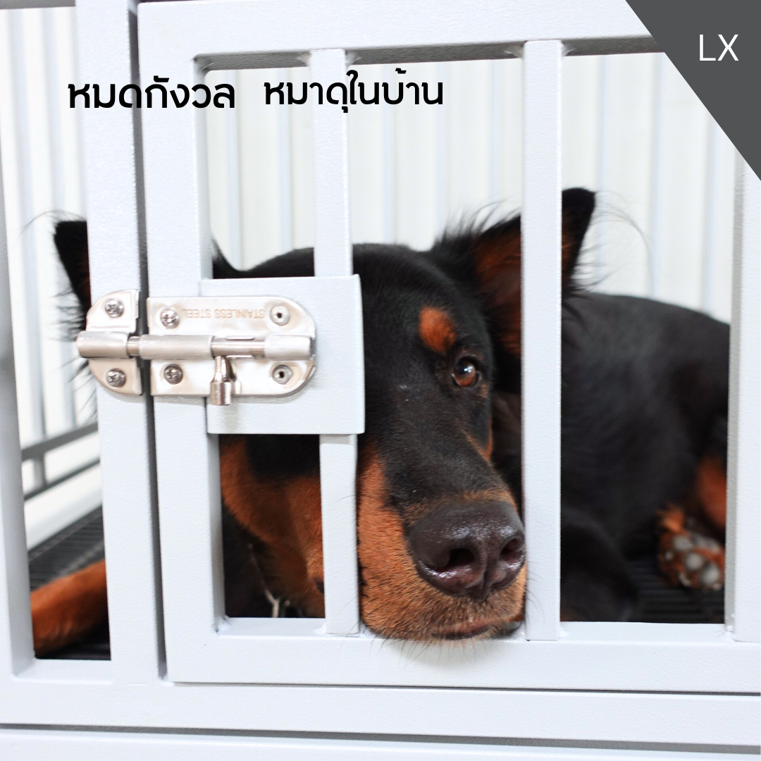 กรงสุนัขใหญ่ กรงสุนัขดุ LX
