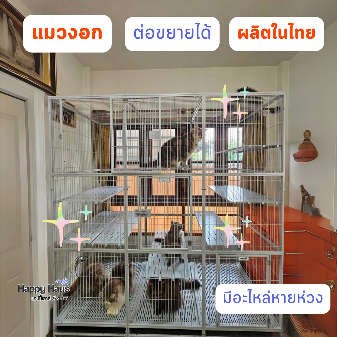 กรงแมวขนาดใหญ่ กรงแมวนอกบ้าน
