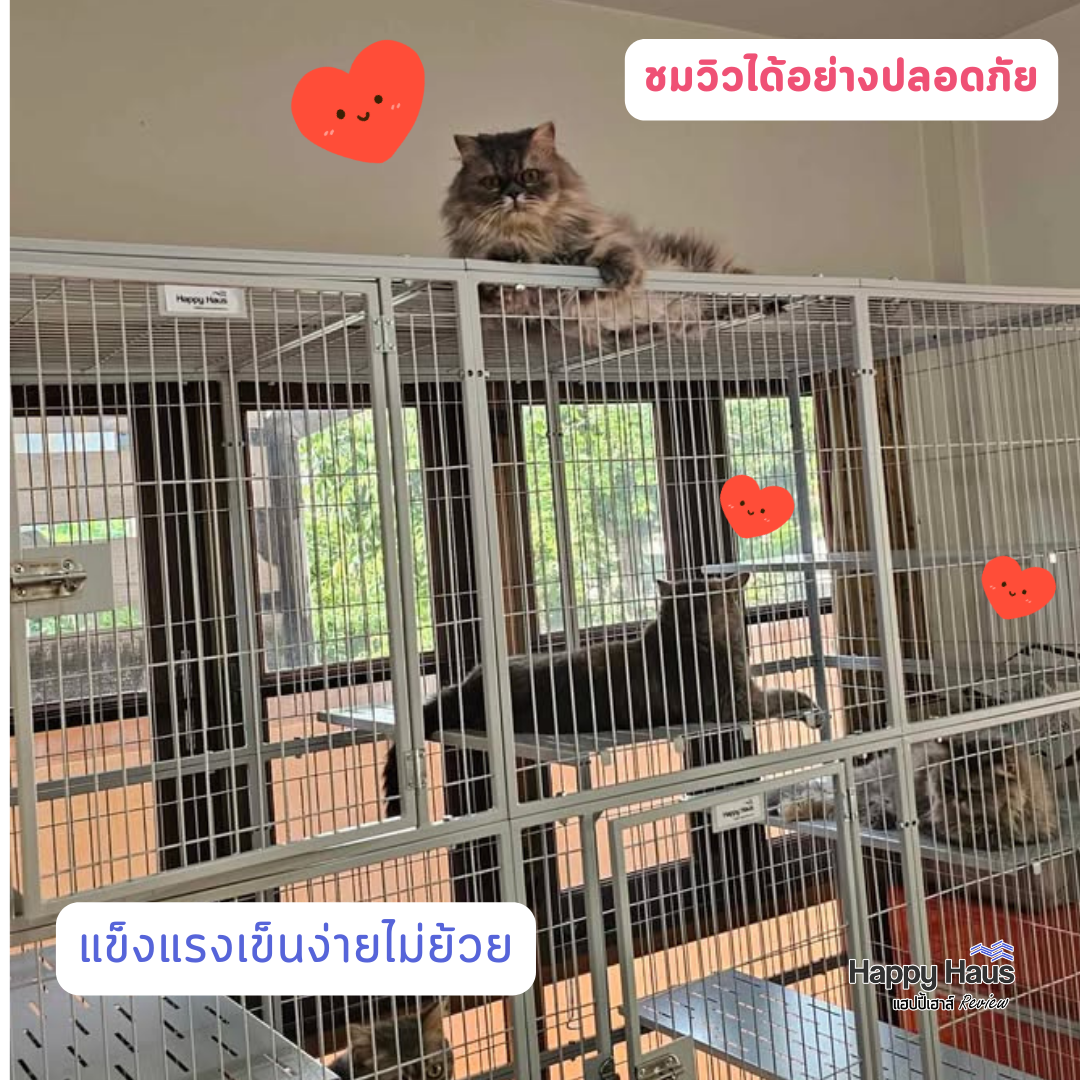 กรงแมวขนาดใหญ่ กรงแมวนอกบ้าน
