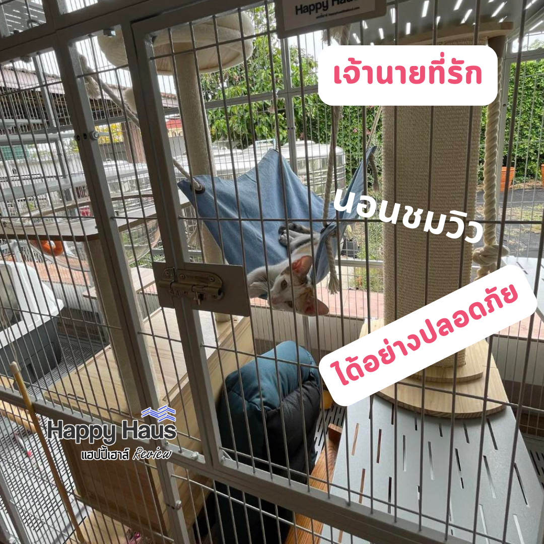 กรงแมวขนาดใหญ่ กรงแมวนอกบ้าน