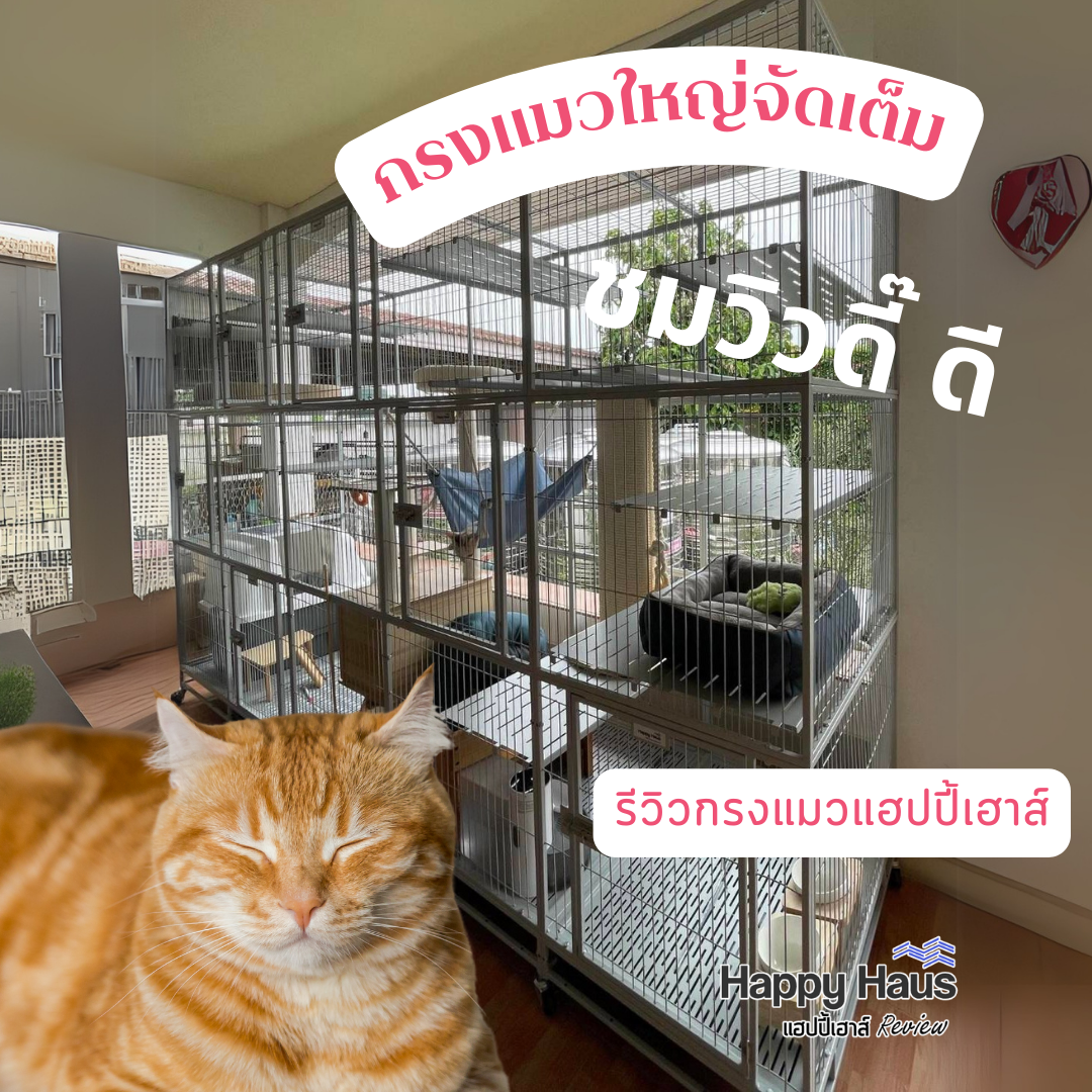 กรงแมวขนาดใหญ่ กรงแมวนอกบ้าน