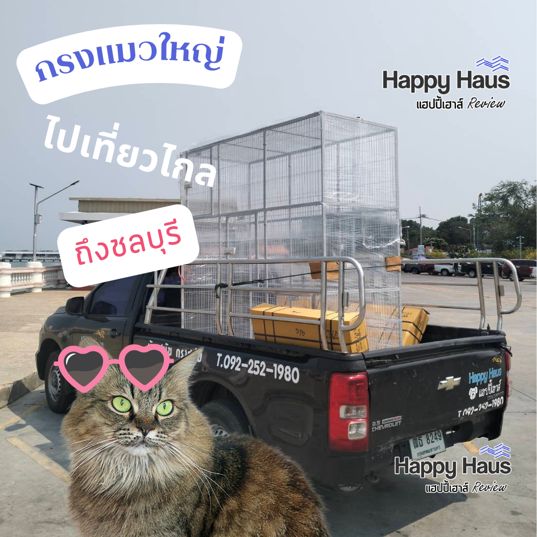 กรงแมวขนาดใหญ่ กรงแมวนอกบ้าน