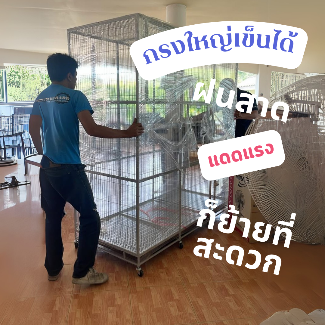 กรงแมวขนาดใหญ่ กรงแมวนอกบ้าน
