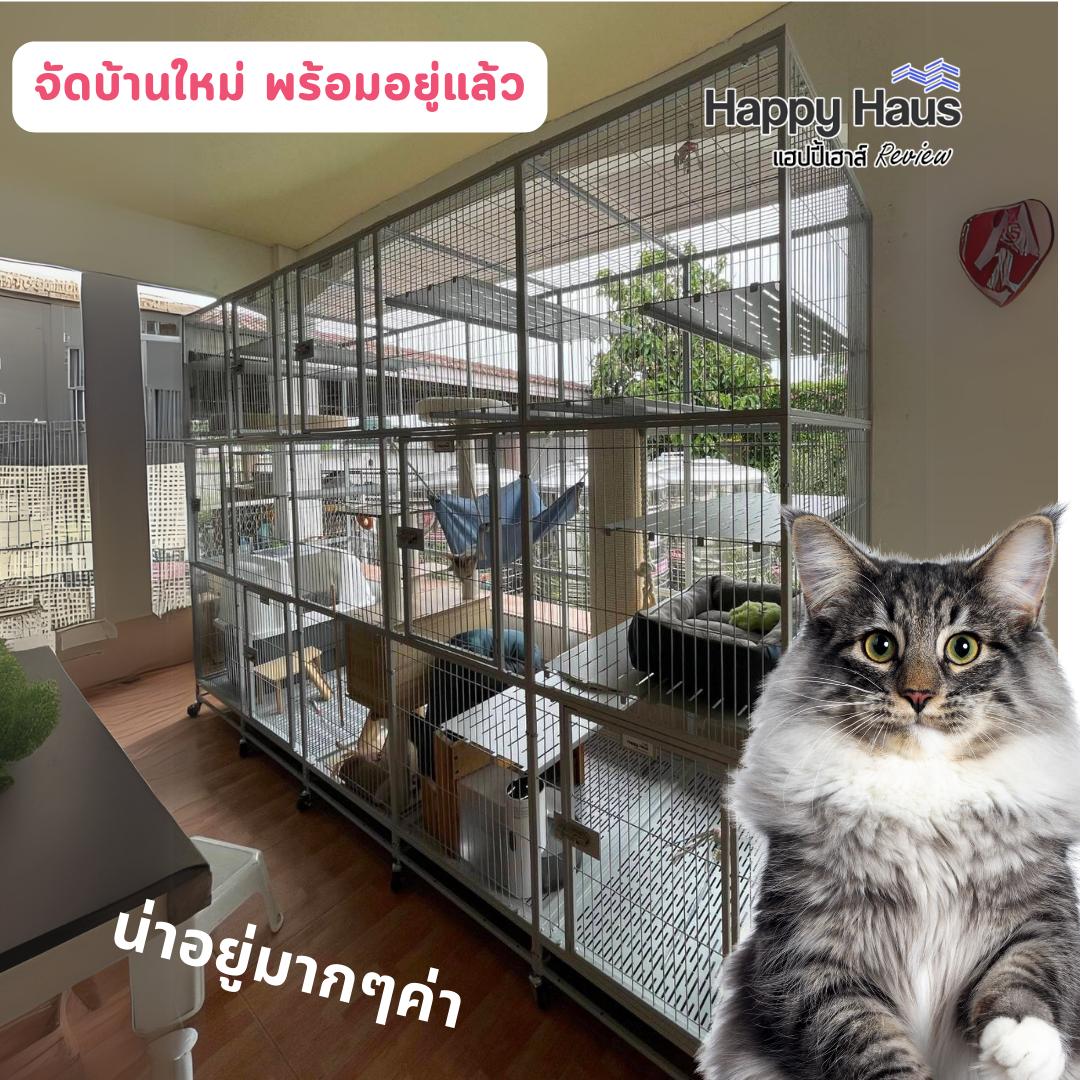 กรงแมวขนาดใหญ่ กรงแมวนอกบ้าน