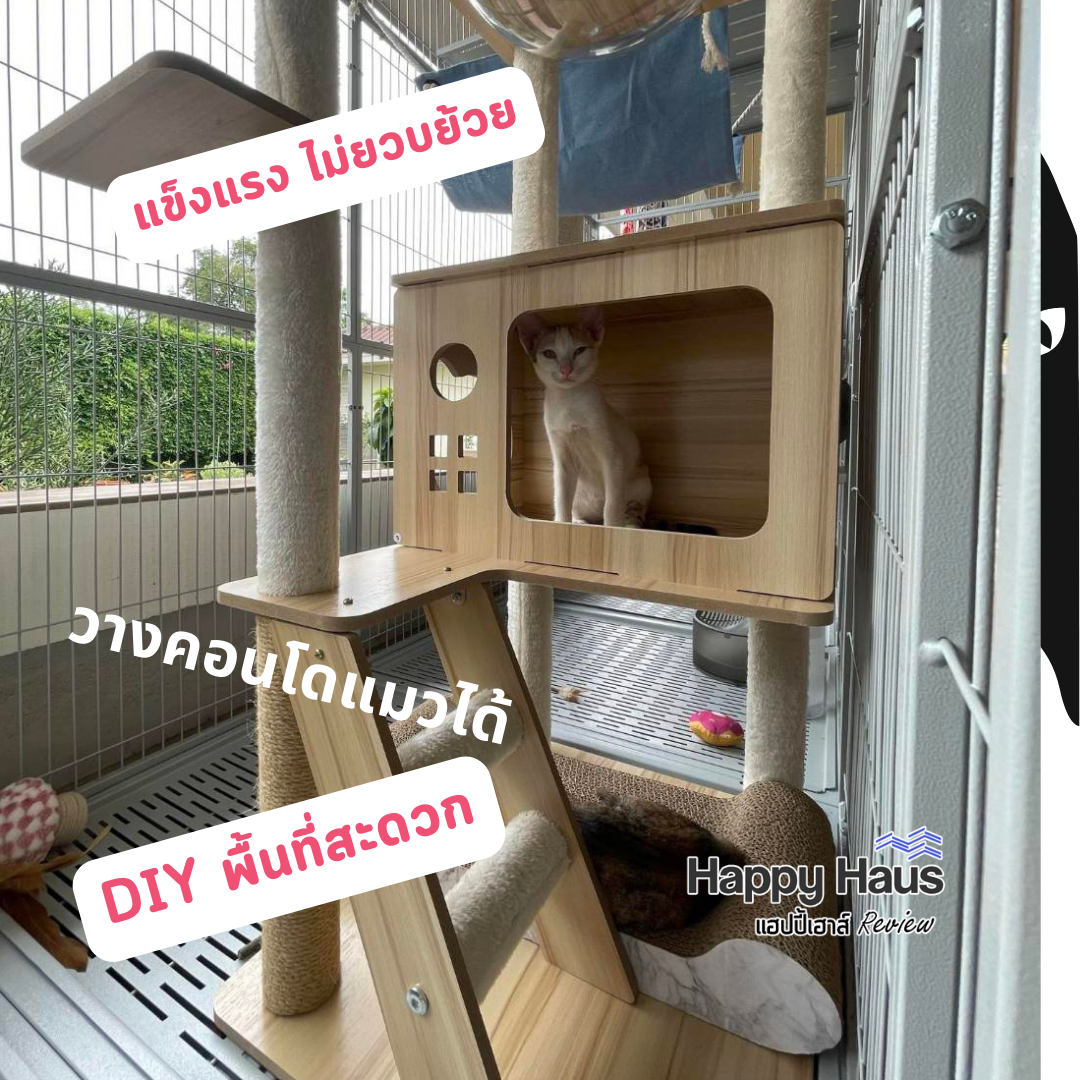 กรงแมวขนาดใหญ่ กรงแมวนอกบ้าน