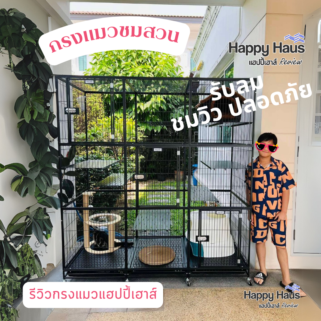 กรงแมวขนาดใหญ่ กรงแมวนอกบ้าน