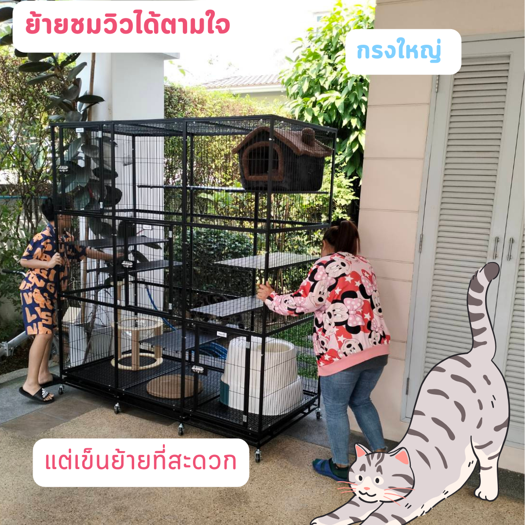 กรงแมวขนาดใหญ่ กรงแมวนอกบ้าน