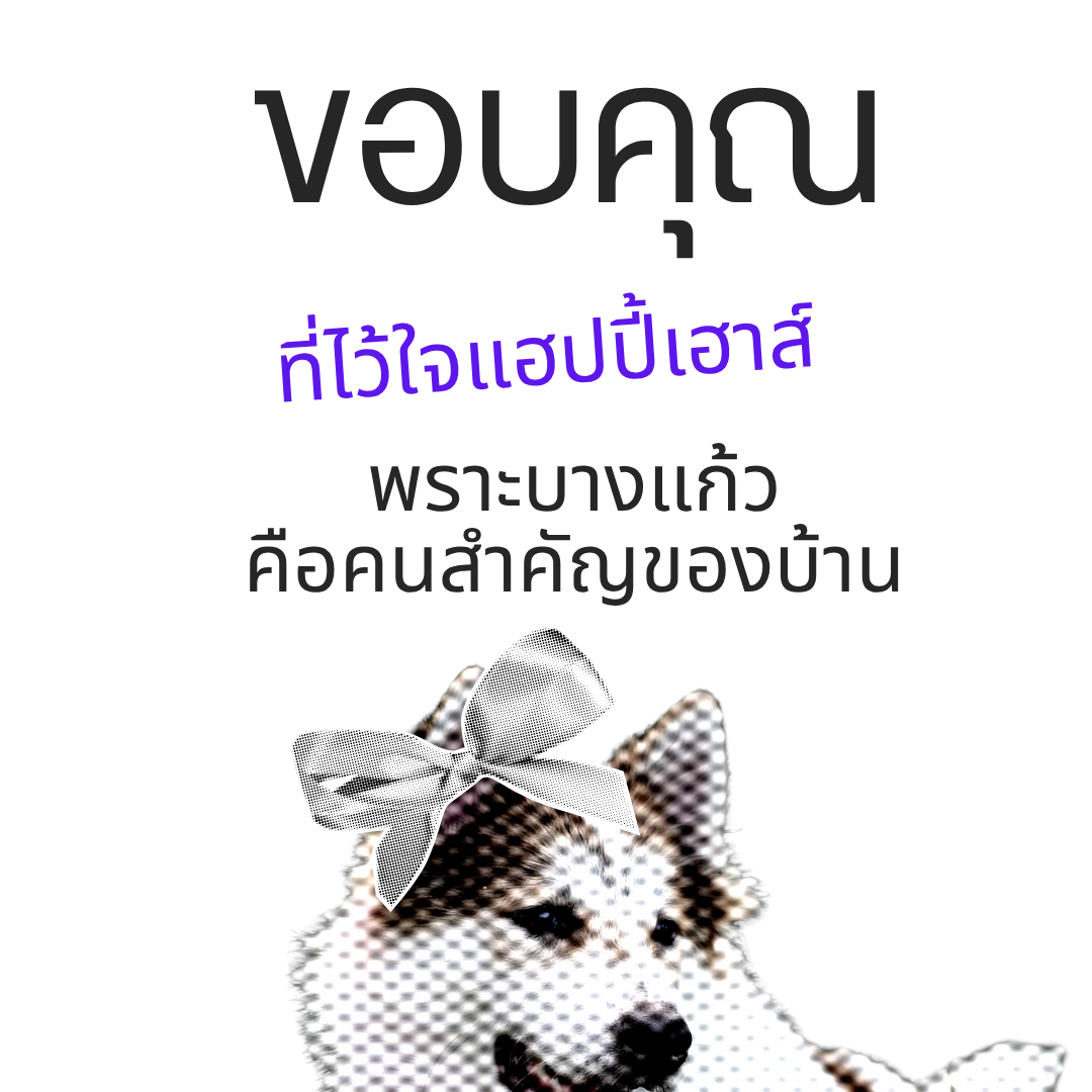 bangkaew dog cage heavy duty กรงบางแก้ว dog cage L