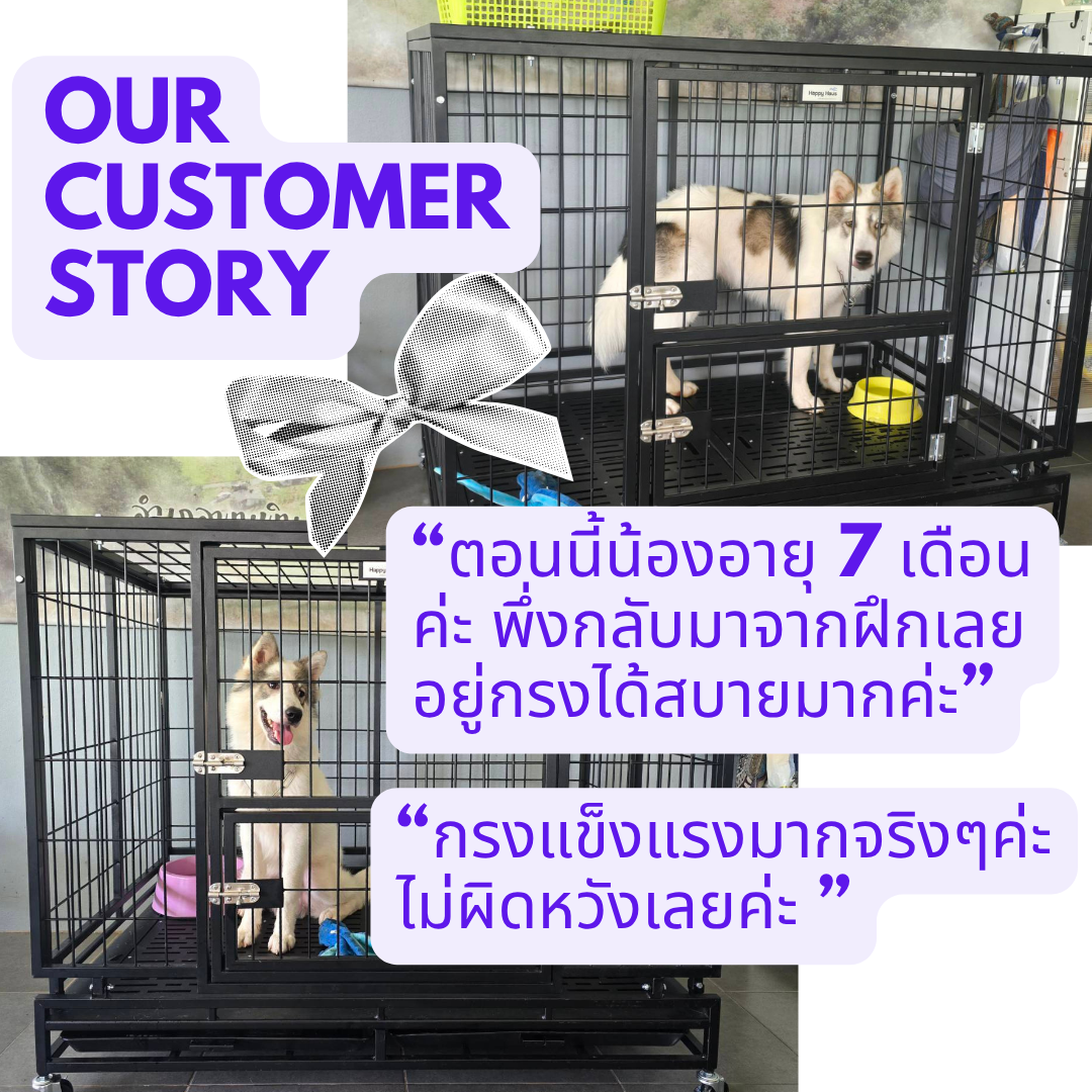 bangkaew dog cage heavy duty กรงบางแก้ว dog cage L