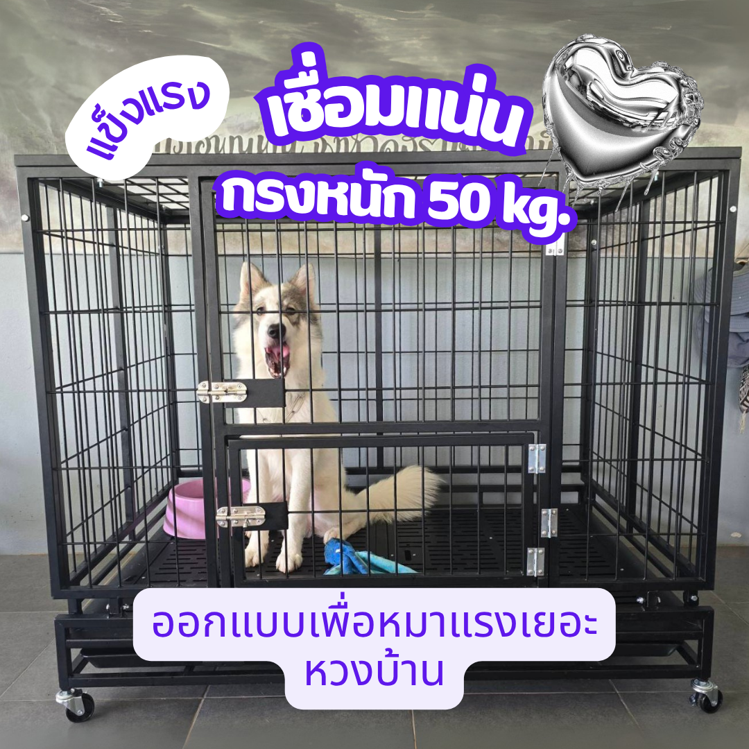 bangkaew dog cage heavy duty กรงบางแก้ว dog cage L