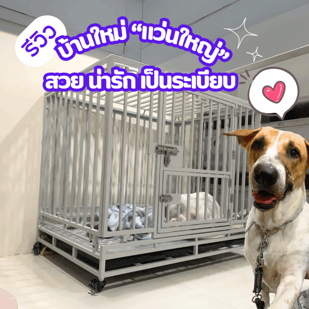 กรงหมาเหล็กท่อหนา สำหรับหมาไทยดุและกัดกรง