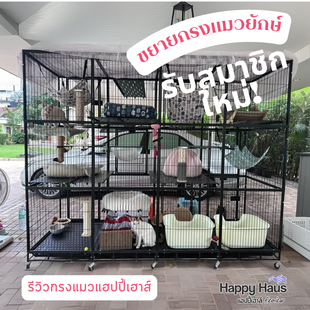 กรงแมวขนาดใหญ่ กรงแมวนอกบ้าน