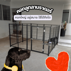 คอกกั้นสุนัข คอกสุนัขใหญ่ ลาบราดอร์