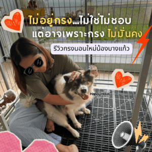 สุนัขบางแก้ว กรงสุนัขใหญ่