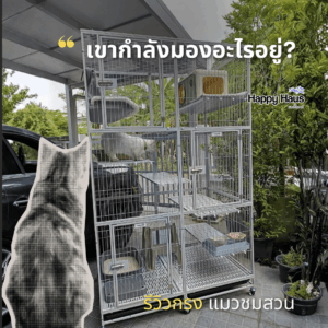 กรงแมวขนาดใหญ่ กรงแมวนอกบ้าน