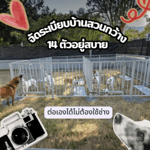 คอกสุนัขใหญ่ บ้านสวน