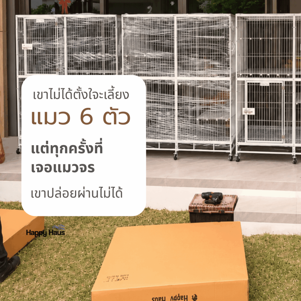 Large cat cage for a home with six rescued cats by HappyHaus